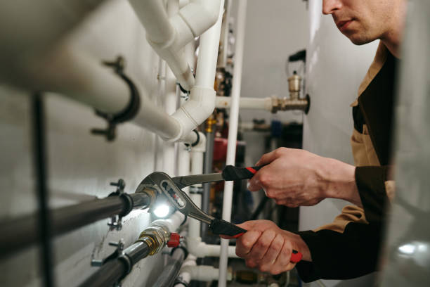 Best Septic Systems  in Dundee, MI