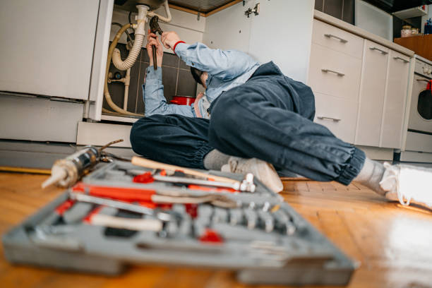Best Shower Repair Services  in Dundee, MI
