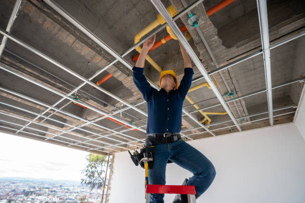 Best Water Leak Repair  in Dundee, MI