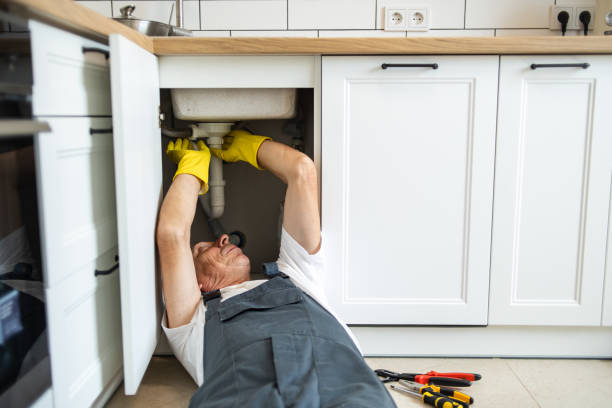 Best Clogged Drain Plumber  in Dundee, MI
